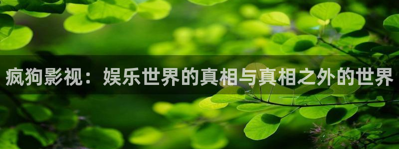 午夜成年电影在线