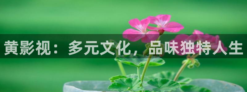 午夜巴黎电影
