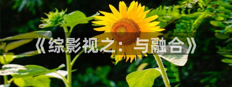 51午夜电影网