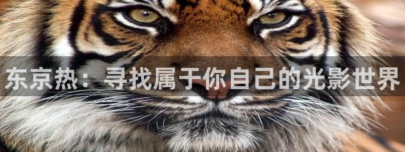 神马电影我不卡午夜达达兔