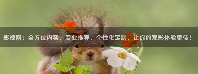 第九午夜影院