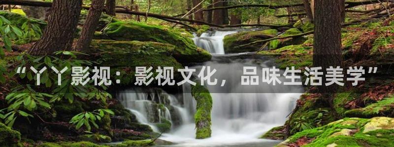 免费观看在线午夜影视