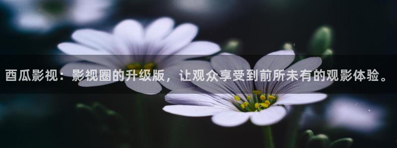 午夜电影免费福利