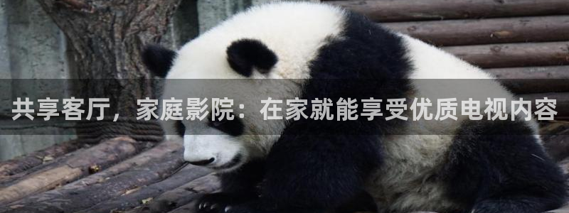 午夜影院免费电影
