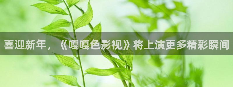 天堂电影午夜电影