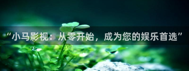 秋霞午夜理论电影2019中文