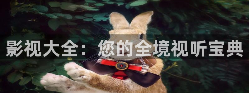 免费午夜影院在线观看