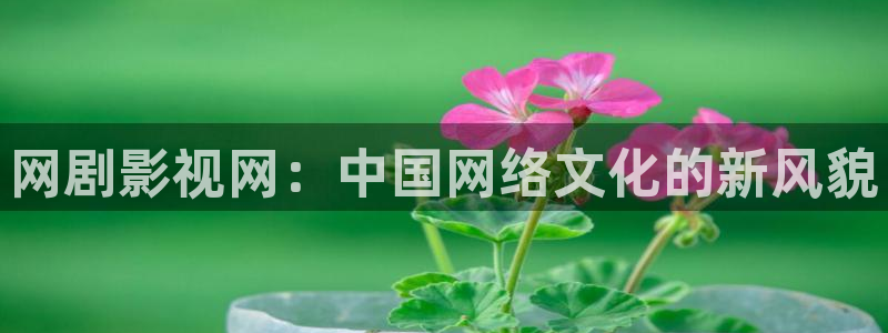 嘿嘿嘿午夜影院