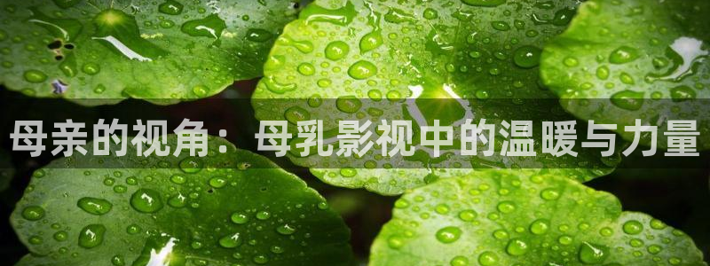 午夜刺激影院
