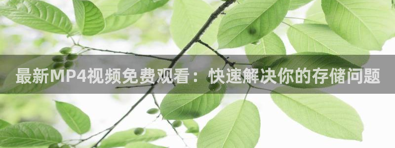 午夜秋霞影视网